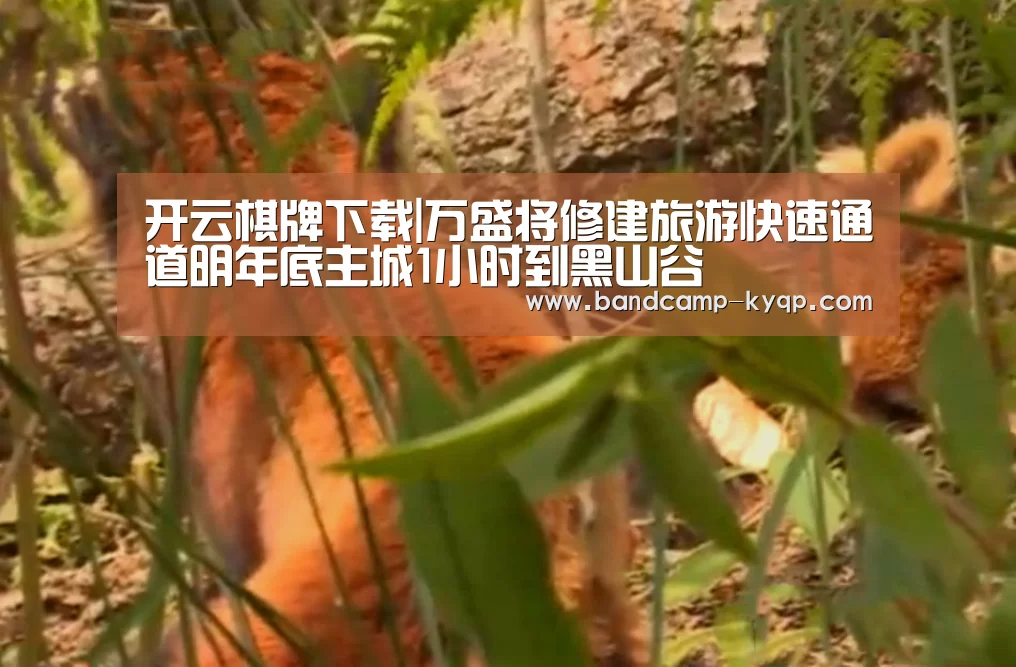 开云棋牌官网