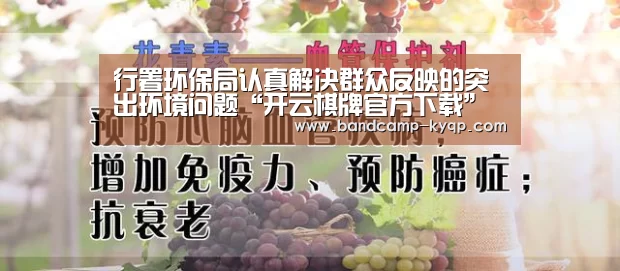 开云棋牌入口