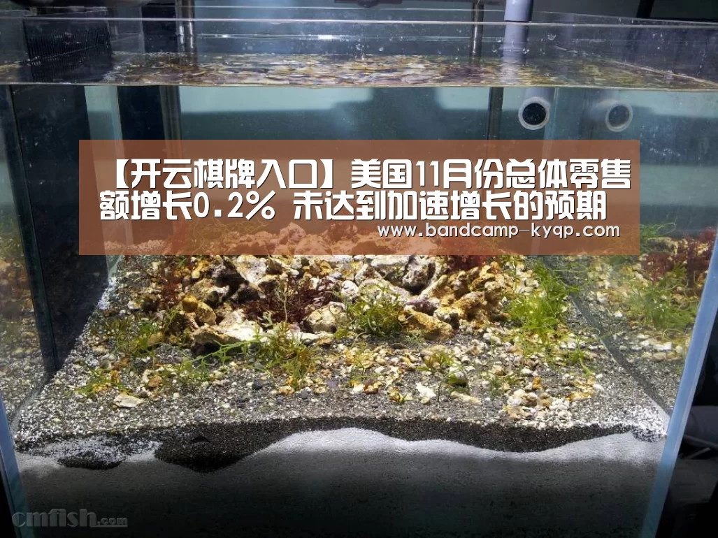 开云棋牌下载