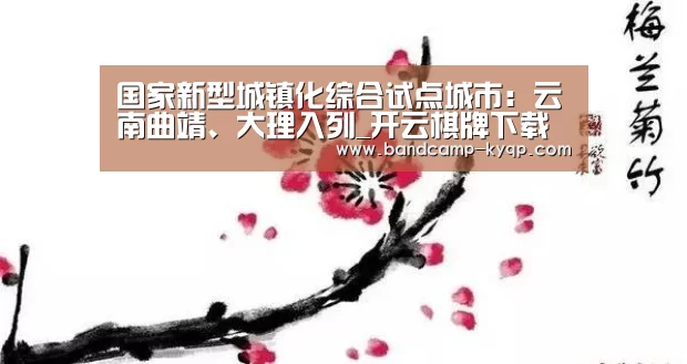 开云棋牌官网